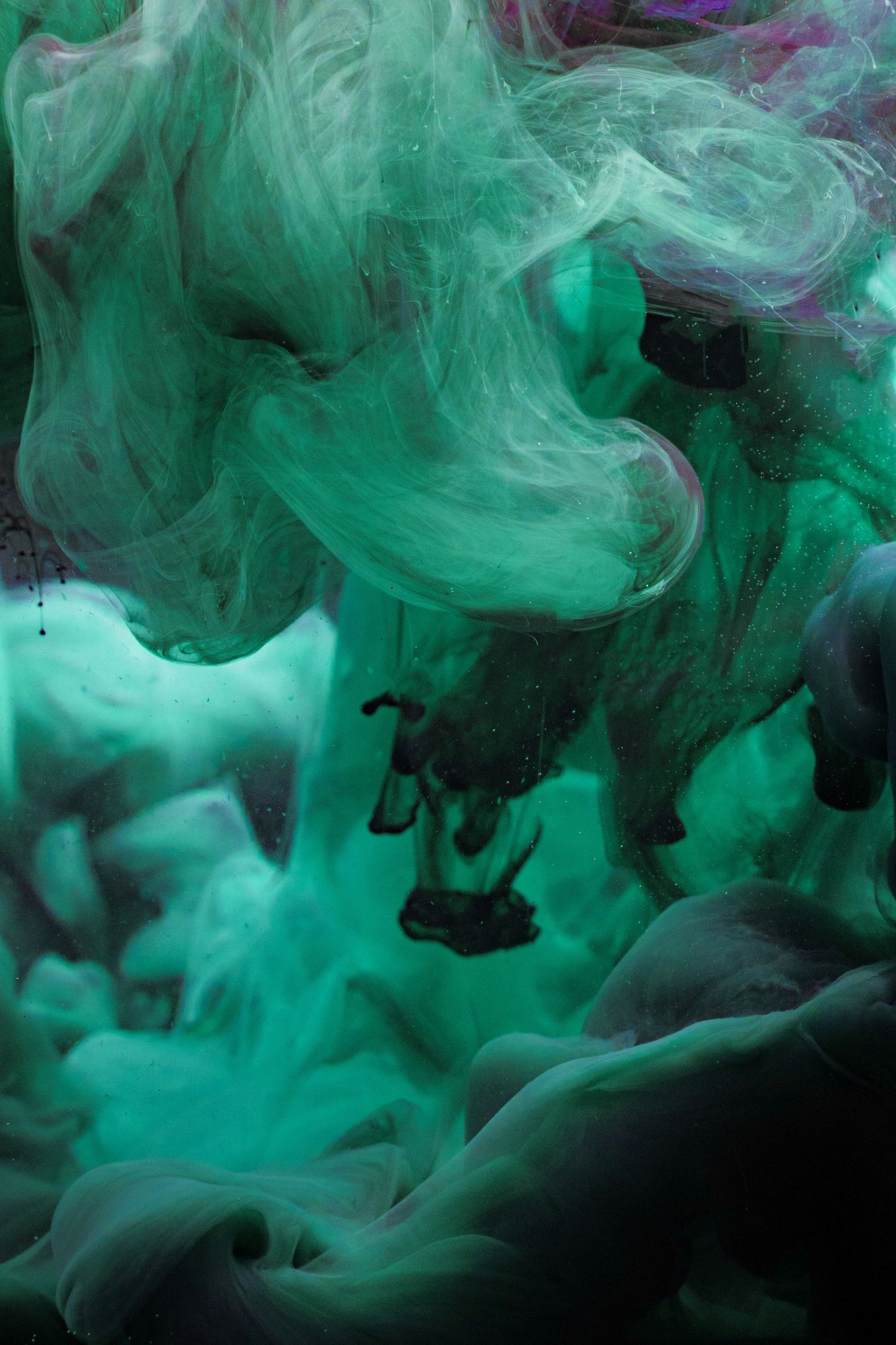 Einzelausstellungen professioneller Bildender Künstler*innen im Oldenburger Raum und Bremen